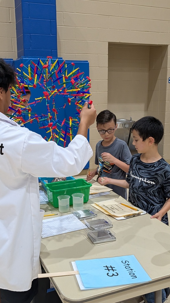 students working on a project