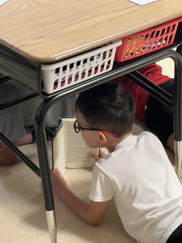 Students diving into reading