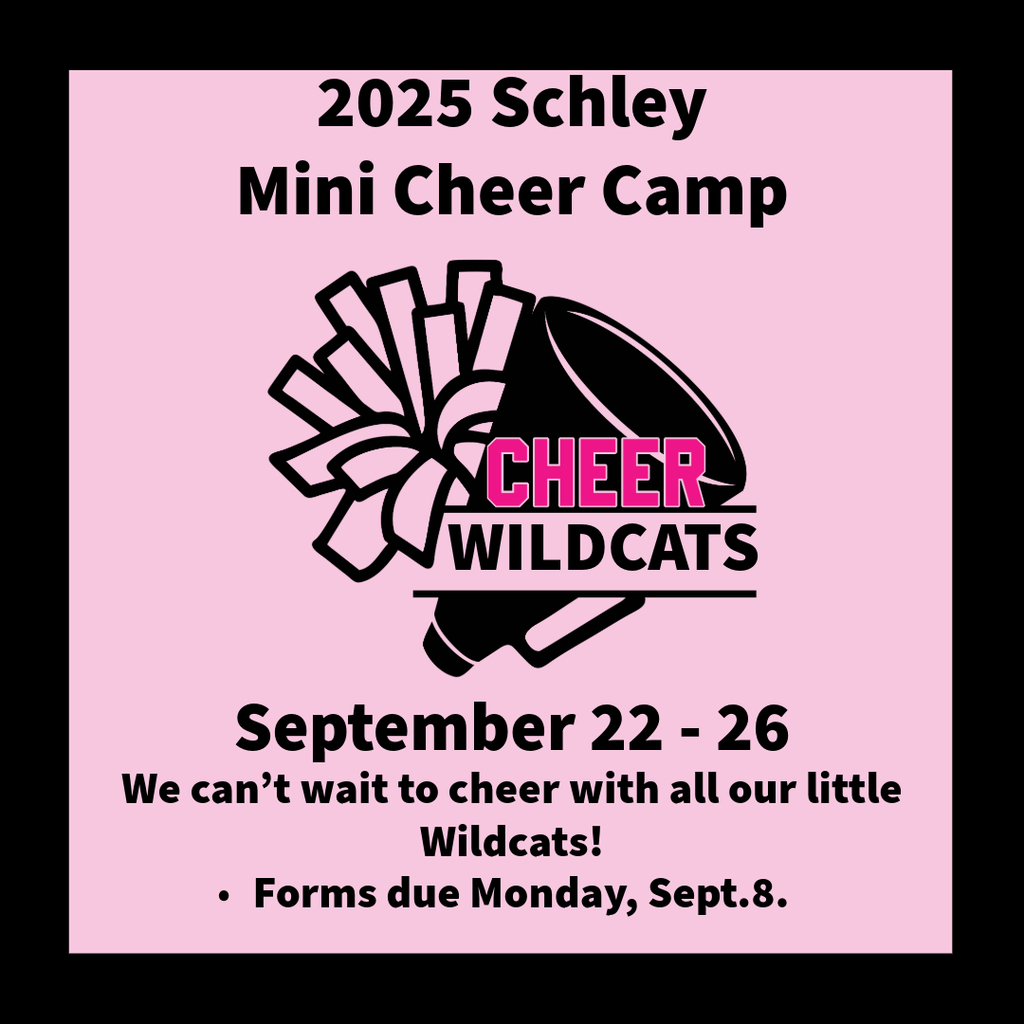 Mini Cheer Camp