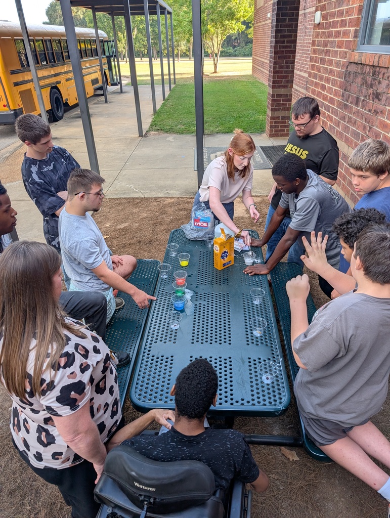 Mrs. Barrow and Mrs. Barnes' Class Activity