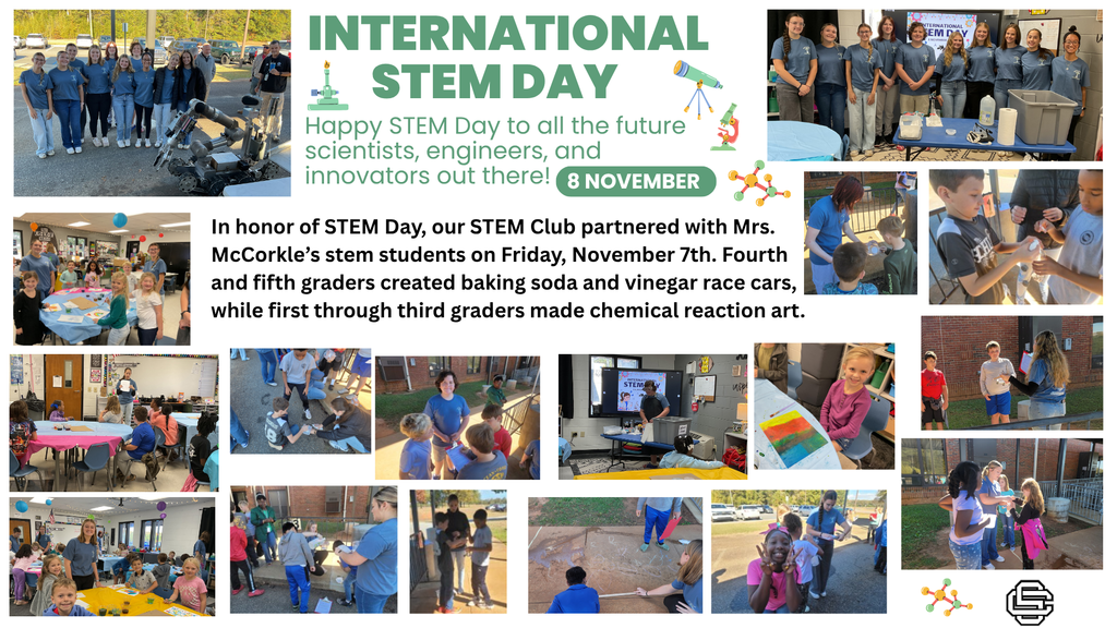 International Stem Day