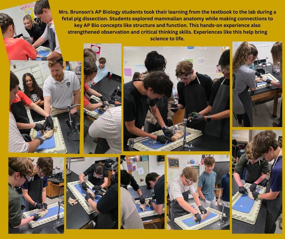 AP Biology Lab