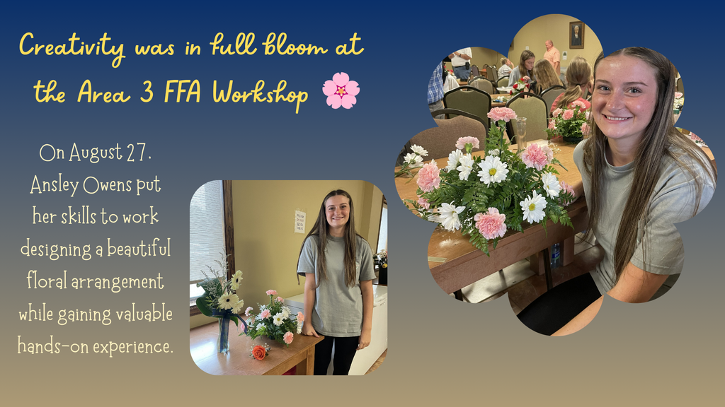 FFA Workshop