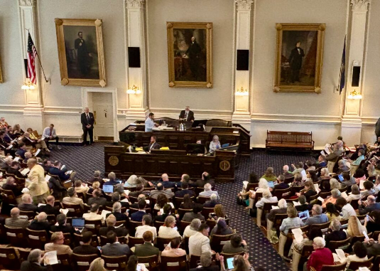 NH congress people voting