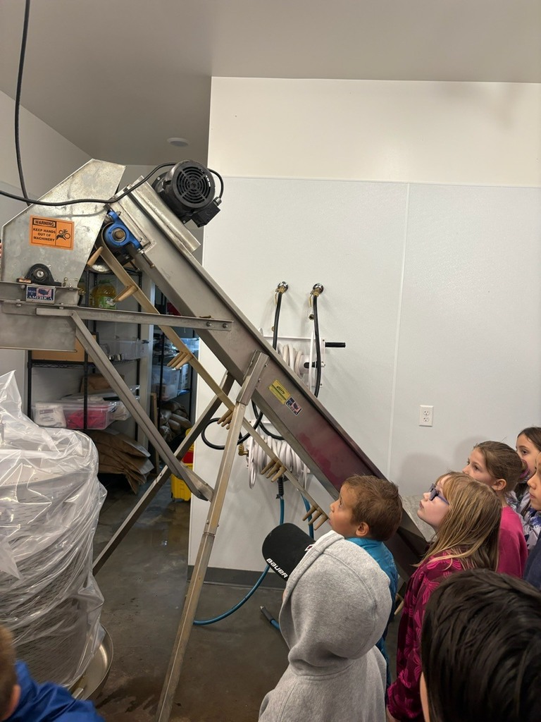 students looking at apple processor