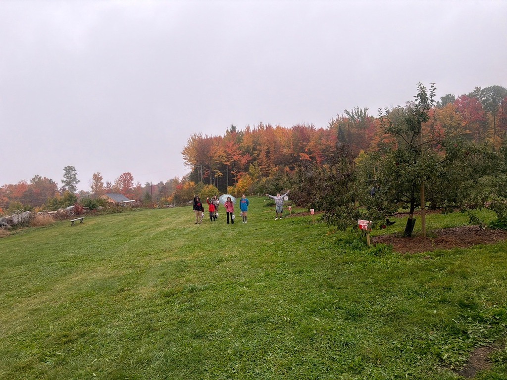 students in apple orchard