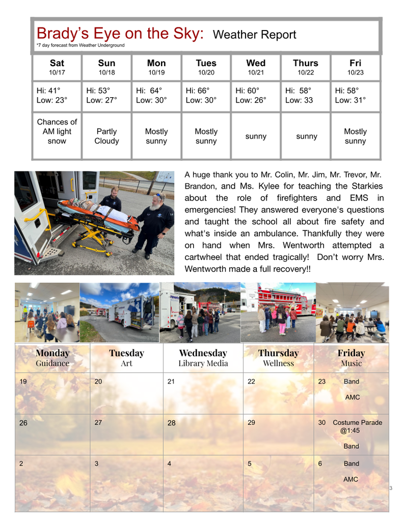 Falcon News pg. 3