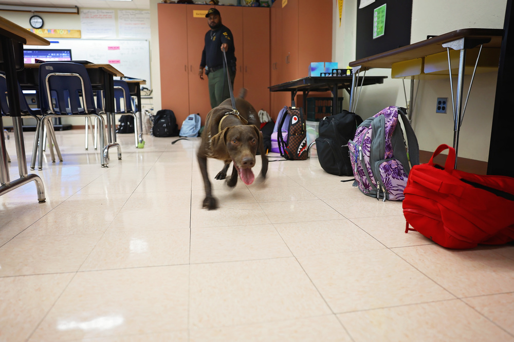 K-9 drug dog in school