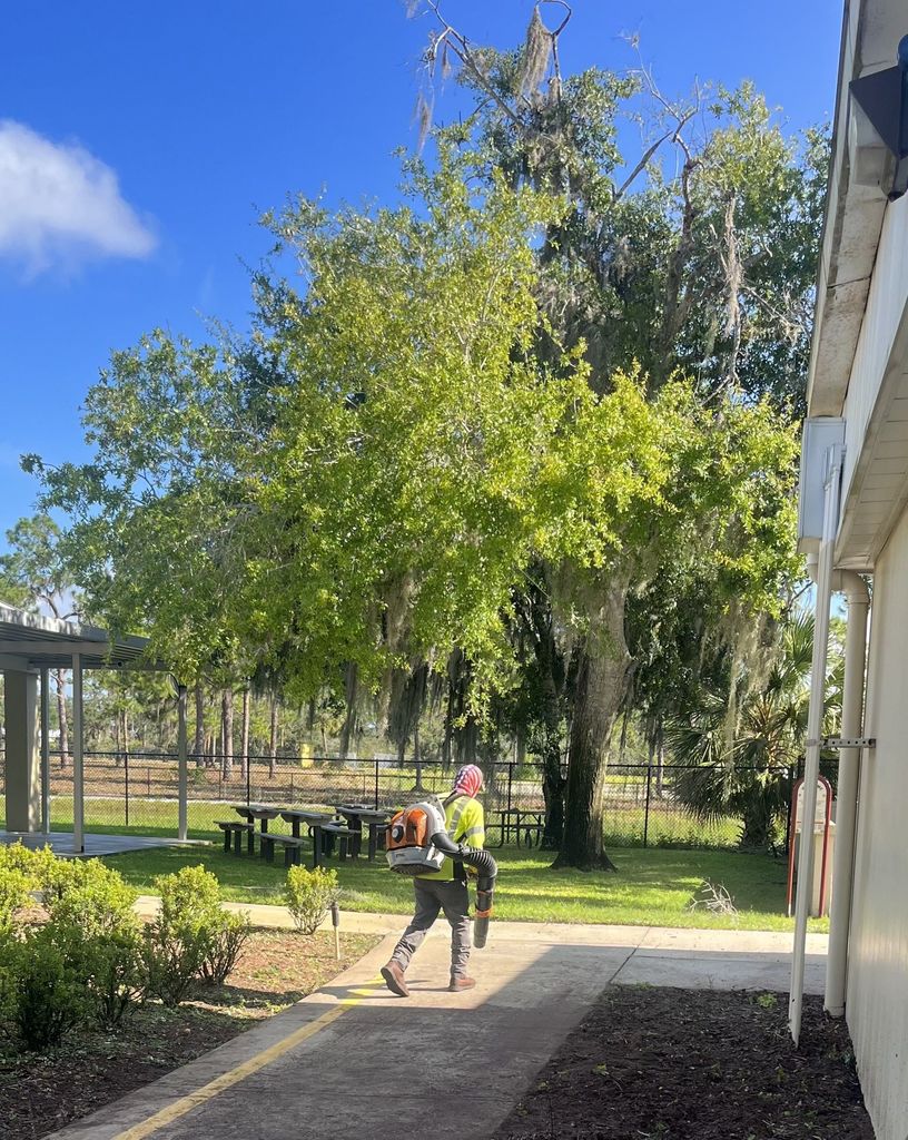 Campus lawn cleanup