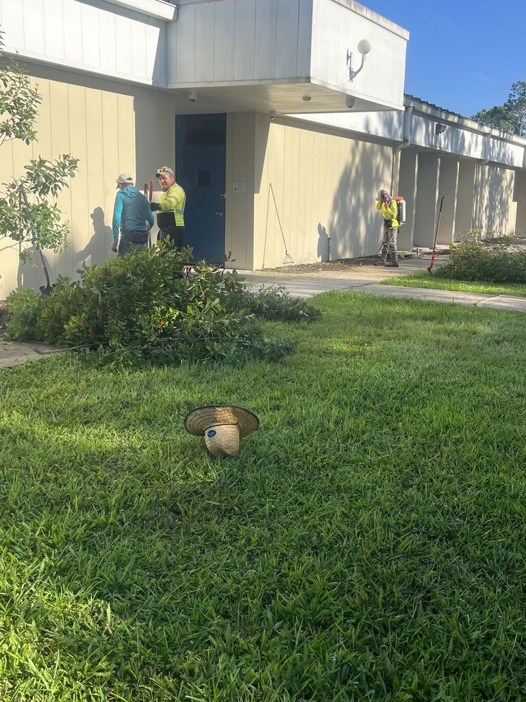 Campus lawn cleanup