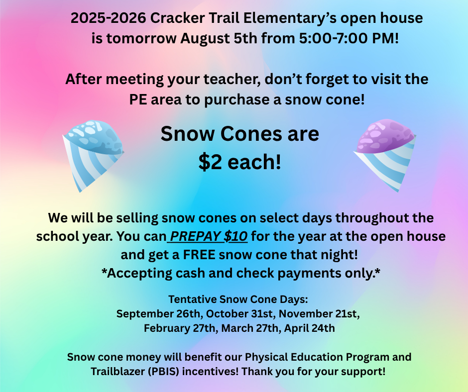 Snow Cone Flyer