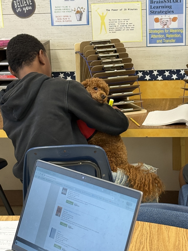 Cinnamon therapy dog visiiting Mrs. Camacho's class