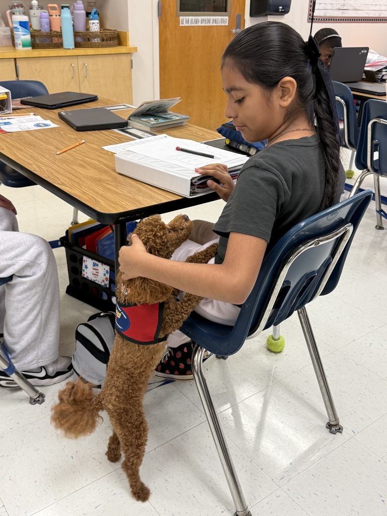 Cinnamon therapy dog visiiting Mrs. Camacho's class