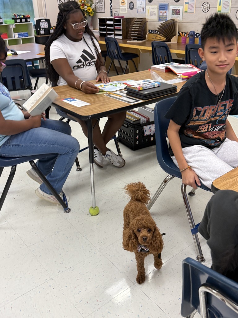 Cinnamon therapy dog visiiting Mrs. Camacho's class