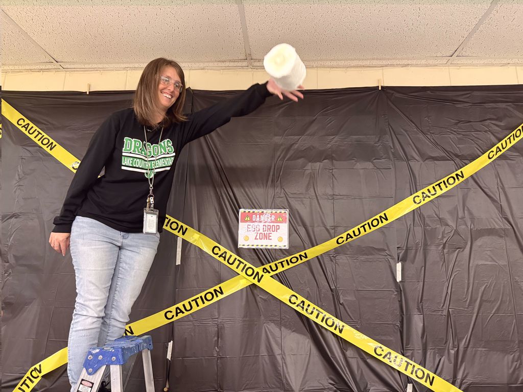 Stem day Activities