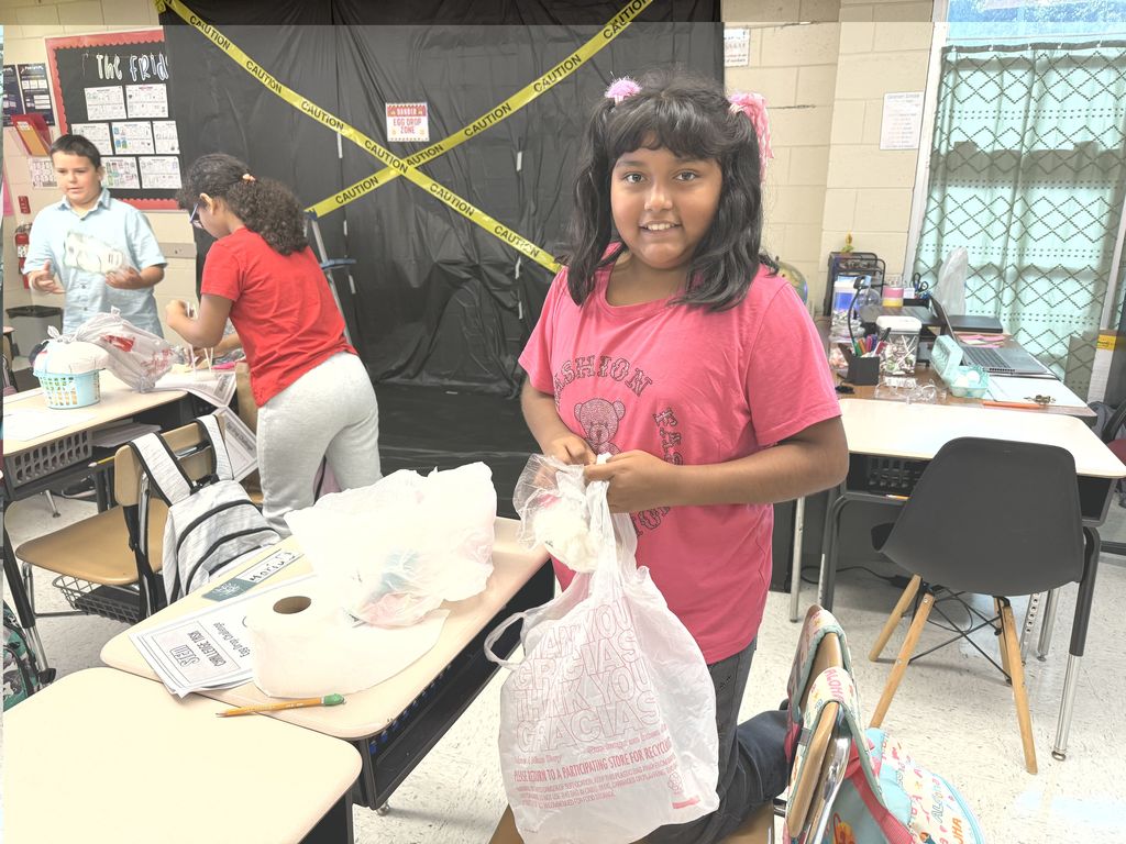 Stem day Activities