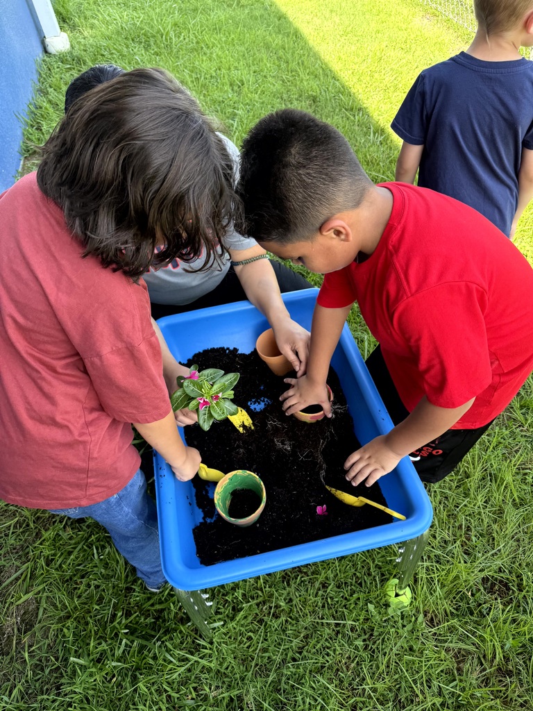 Mrs. Godfrey's class learning about difference between animals and plants with some fun activities.