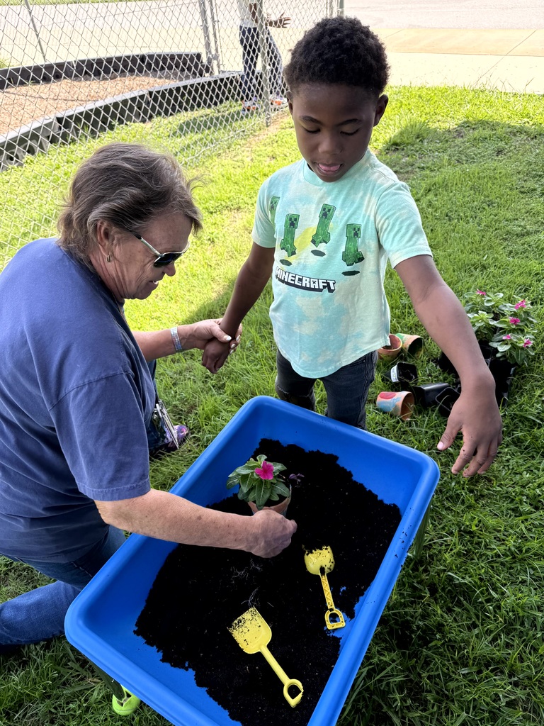 Mrs. Godfrey's class learning about difference between animals and plants with some fun activities.
