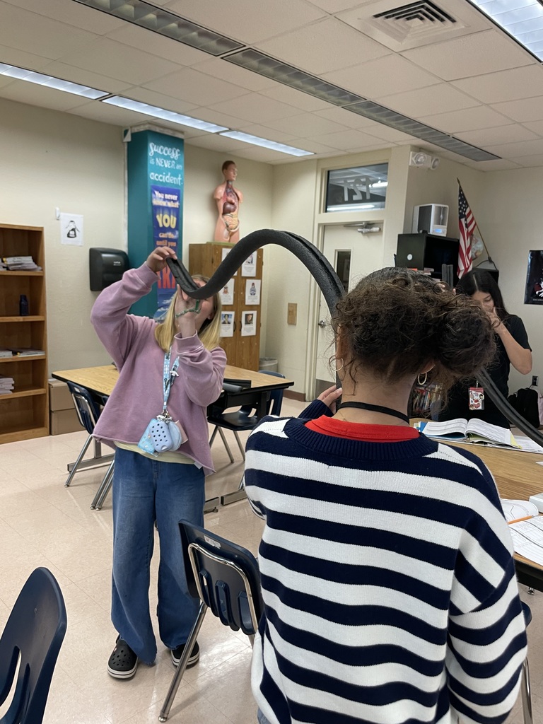 Two students stand and raise a foam ramp high in the air as part of a science lab activity.