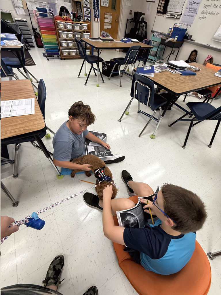 students playing with Cinnamon the dog on pirate day