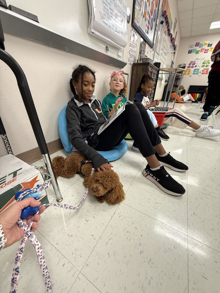 students playing with Cinnamon the dog on pirate day