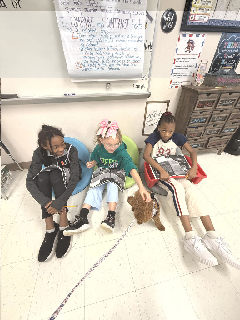 students playing with Cinnamon the dog on pirate day