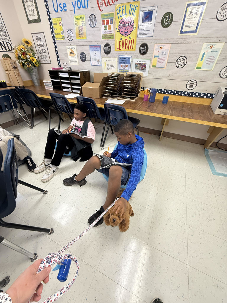 students playing with Cinnamon the dog on pirate day
