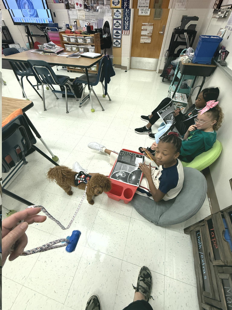 students playing with Cinnamon the dog on pirate day