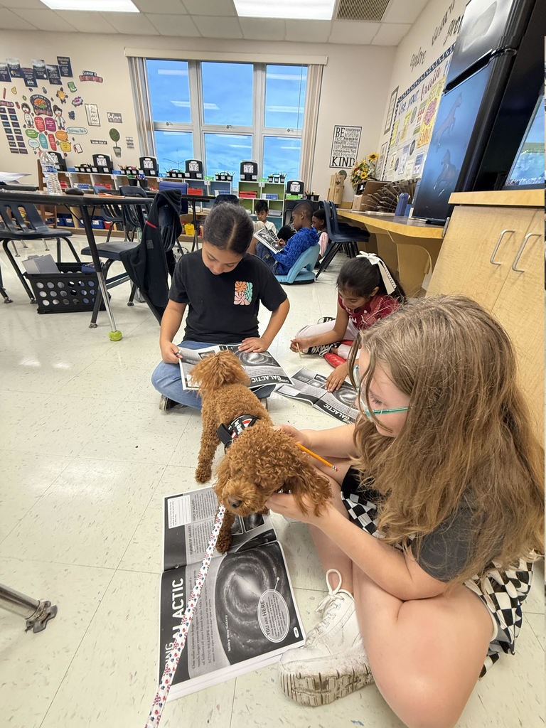 students playing with Cinnamon the dog on pirate day