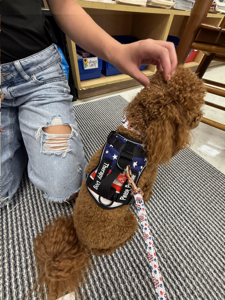 students playing with Cinnamon the dog on pirate day
