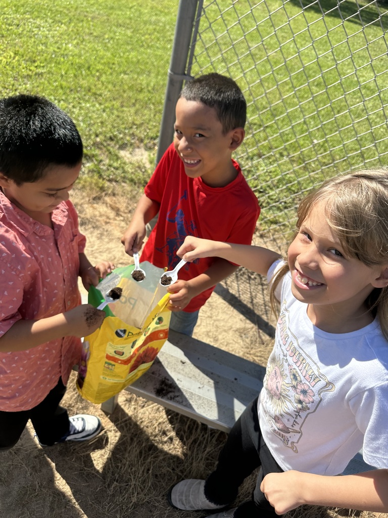 2nd graders investigating soil