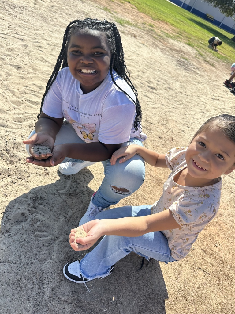 2nd graders investigating soil