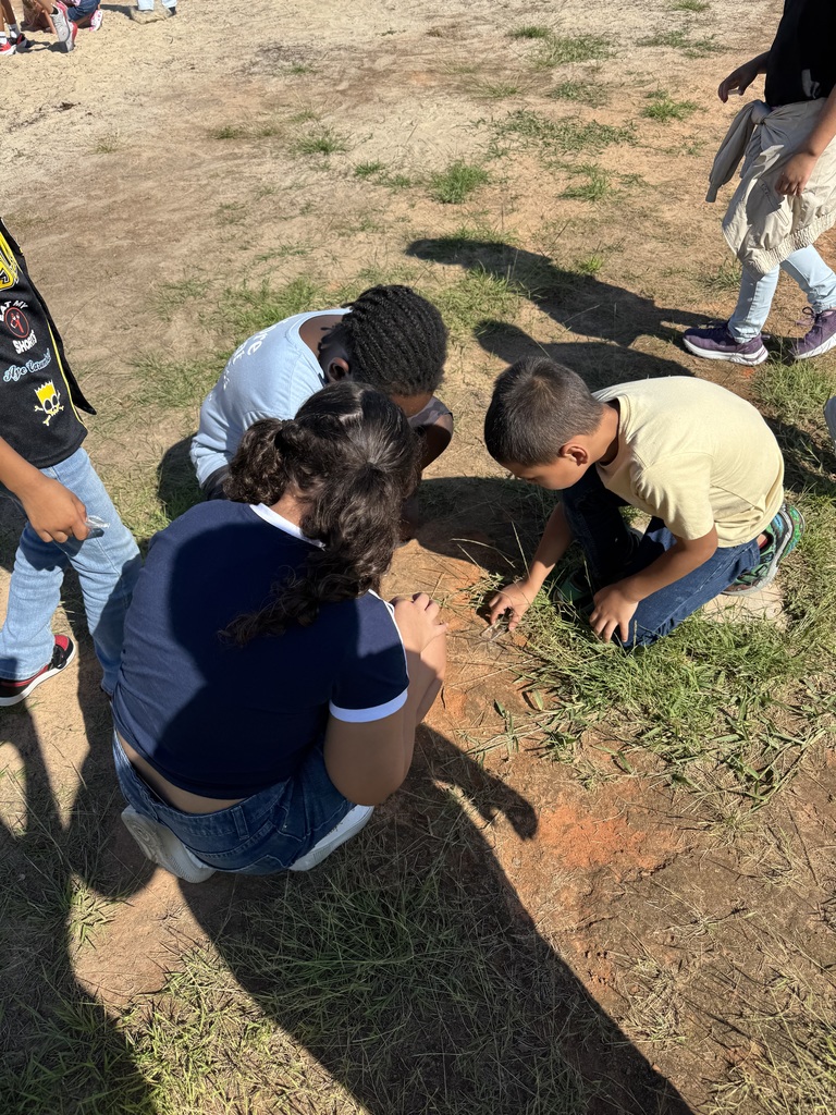 2nd graders investigating soil
