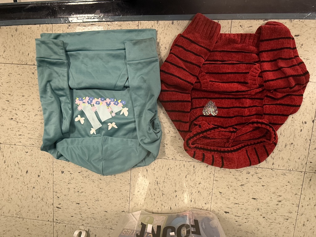Two folded sweaters are on a tiled floor: a teal-colored velvety hooded garment with a floral graphic, and a red and black striped sweater.