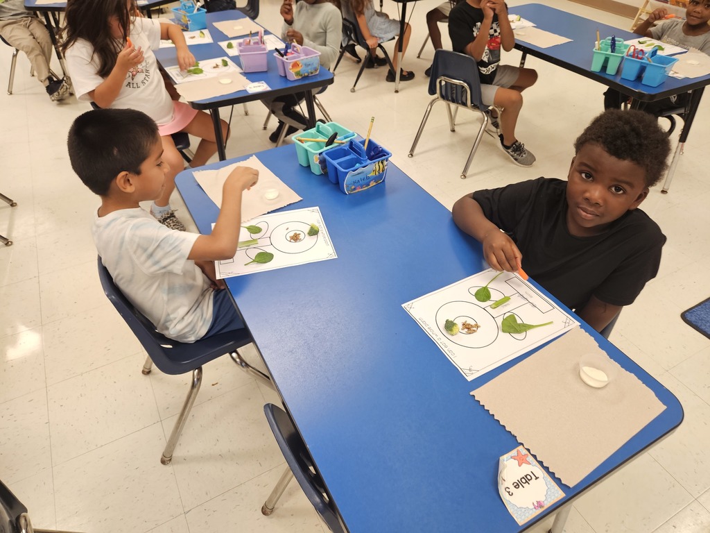MES Kindergarten class learning about plants and eating a whole plant.