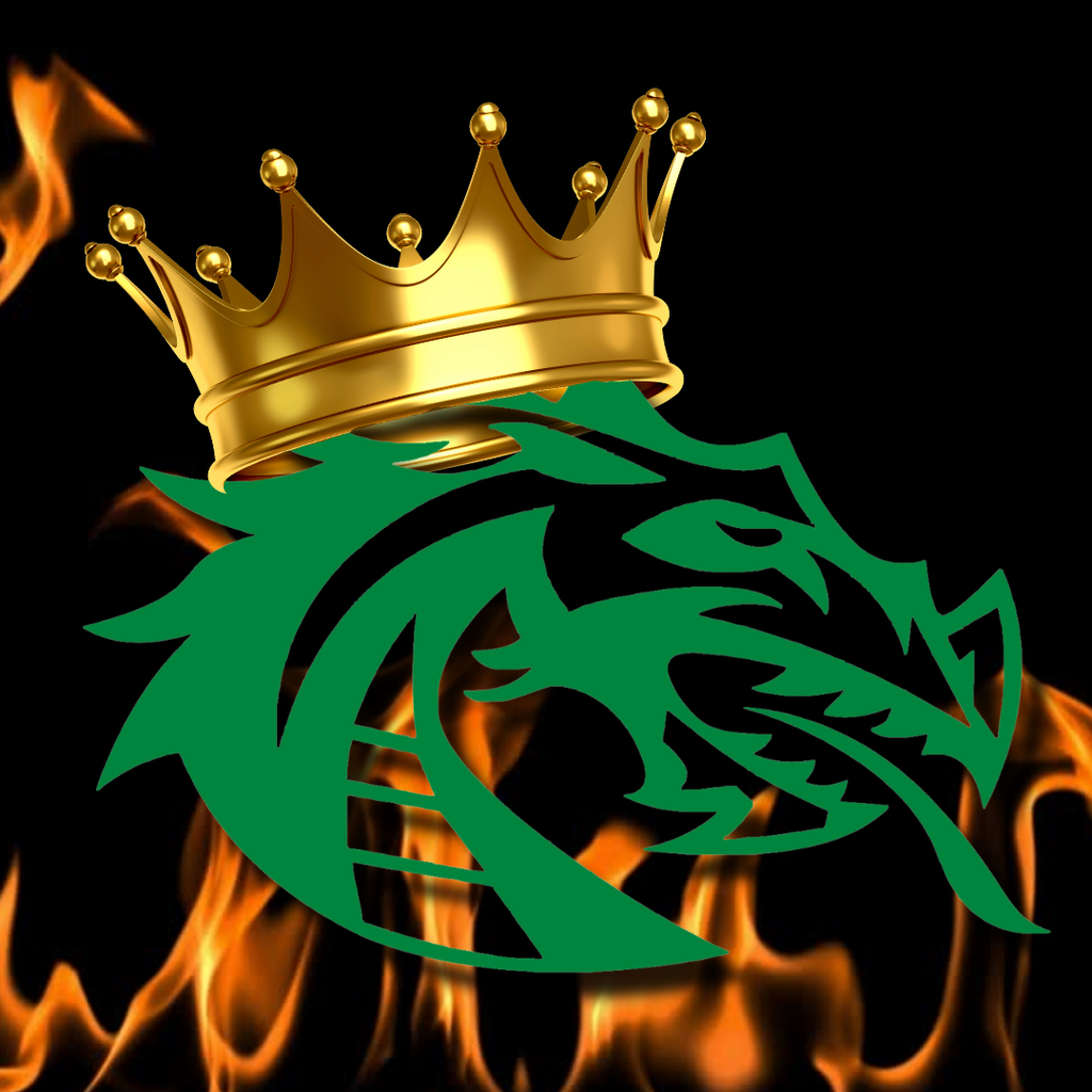 Dragon Logo with Crown and Fire