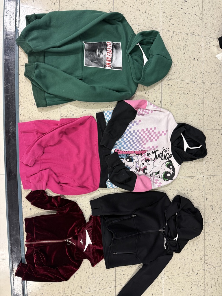 A bright green hoodie, a hot pink zip-up, a patterned pink/black/white hoodie, and a dark red velvet zip-up jacket.
