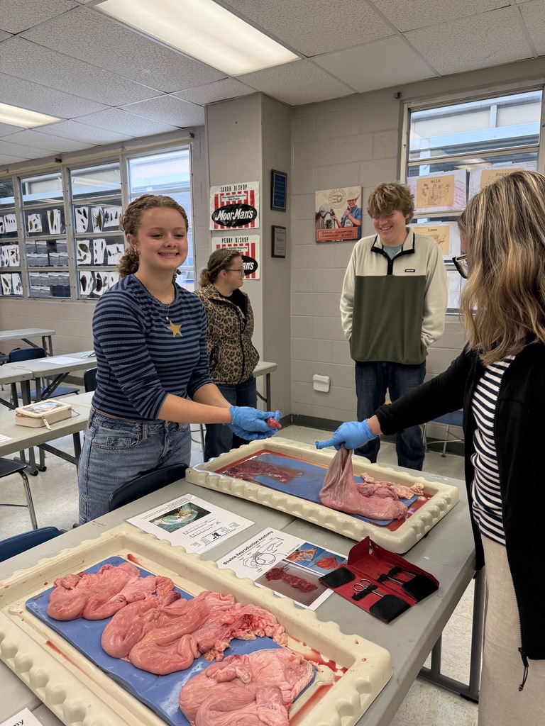 A young woman in blue gloves smiles while handling internal organs laid out on a tray, as a teacher and male student watch in a brightly lit classroom.