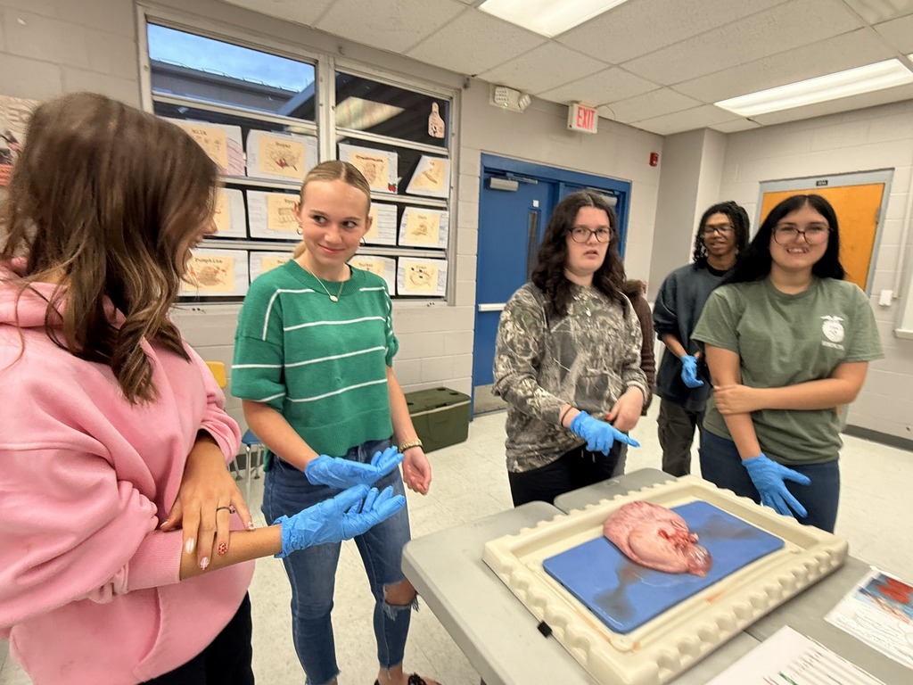 Four students in a classroom look at a fifth student who is standing near a table with a specimen on a tray. All students are wearing blue gloves.