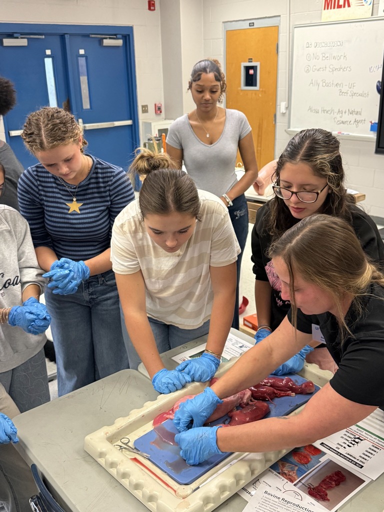 Several young female students in blue gloves intently lean over a table examining and touching organs laid out on a tray in a classroom setting.