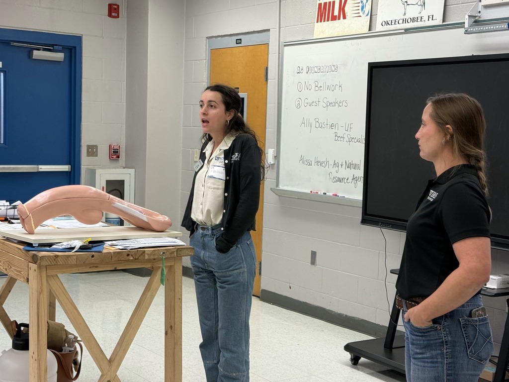 Two women stand next to each other facing a whiteboard in a classroom. One woman is speaking next to a large, pink anatomical model on a wooden stand.