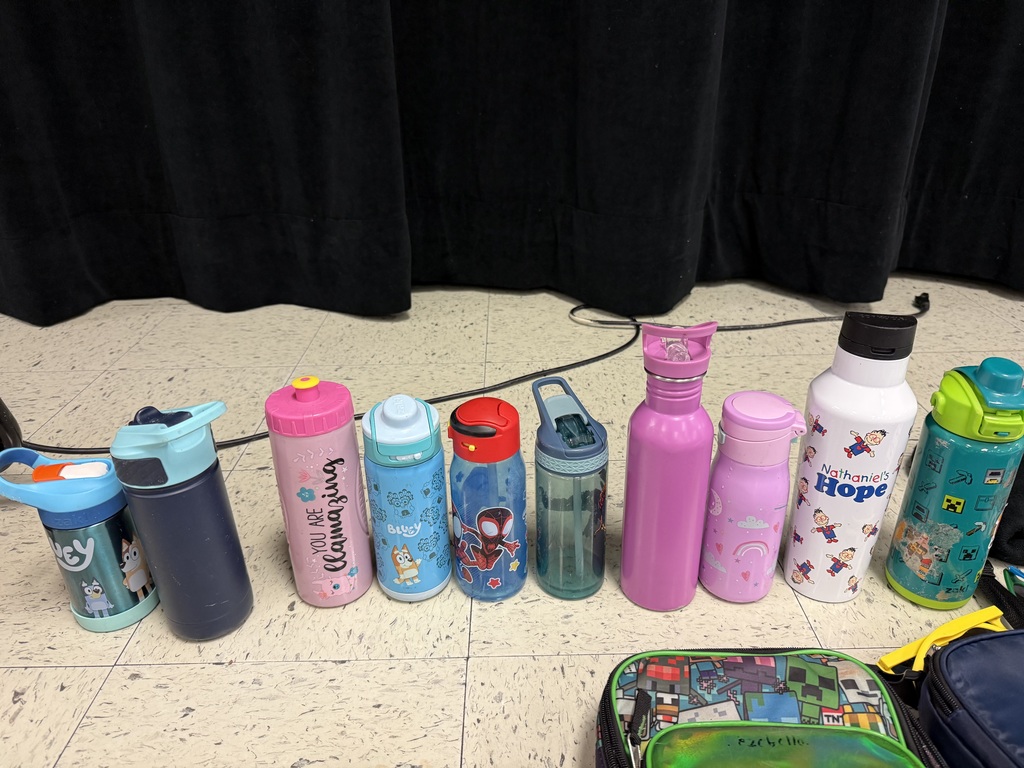 A line of ten colorful water bottles of various sizes and designs, including Bluey, Spider-Man, and a white bottle with text, sitting on a tiled floor in front of a black curtain.