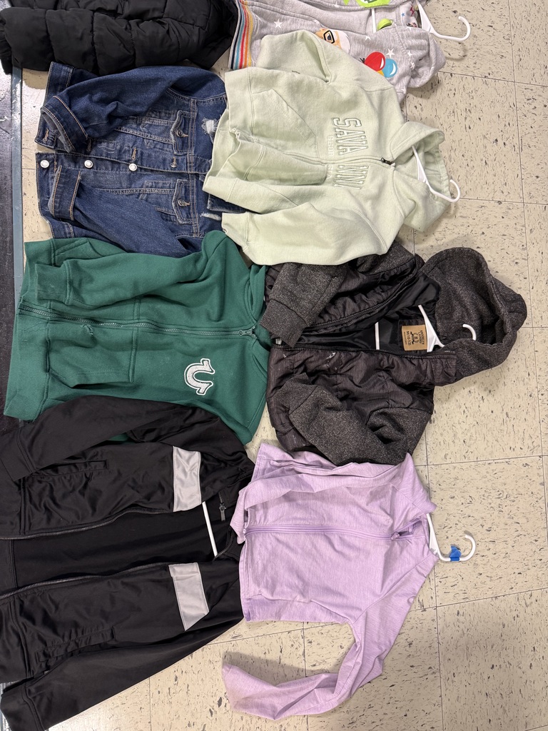 Several jackets and zip-up hoodies, including a denim jacket, a light green GAP zip-up, a dark green True Religion jacket, a black puffy vest/jacket, a black track jacket, and a lavender athletic zip-up.