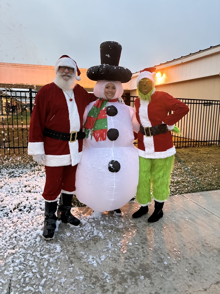 Snow woman and Santa and Grinch