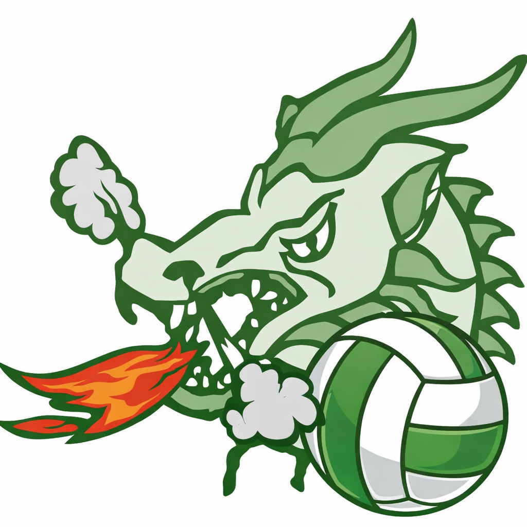 LPM Volleyball Image