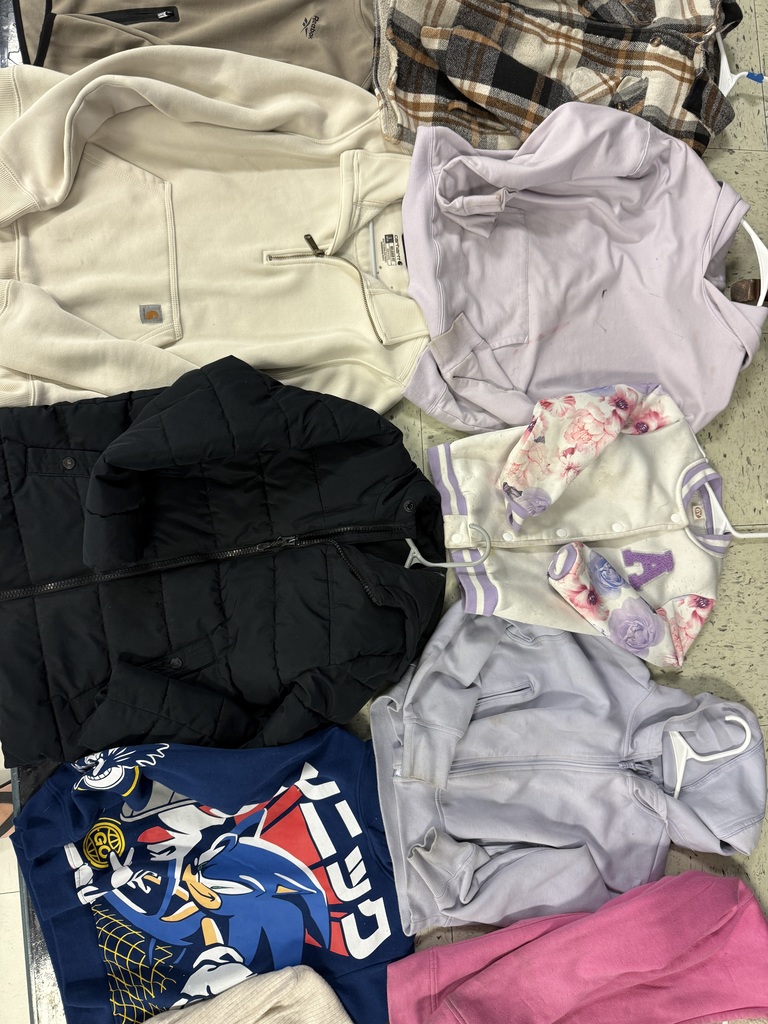 Kids' clothing including a blue Sonic the Hedgehog hoodie, light purple zip-ups, a bright pink hoodie, a grey Columbia fleece jacket, and a red Minnie Mouse hooded sweatshirt.