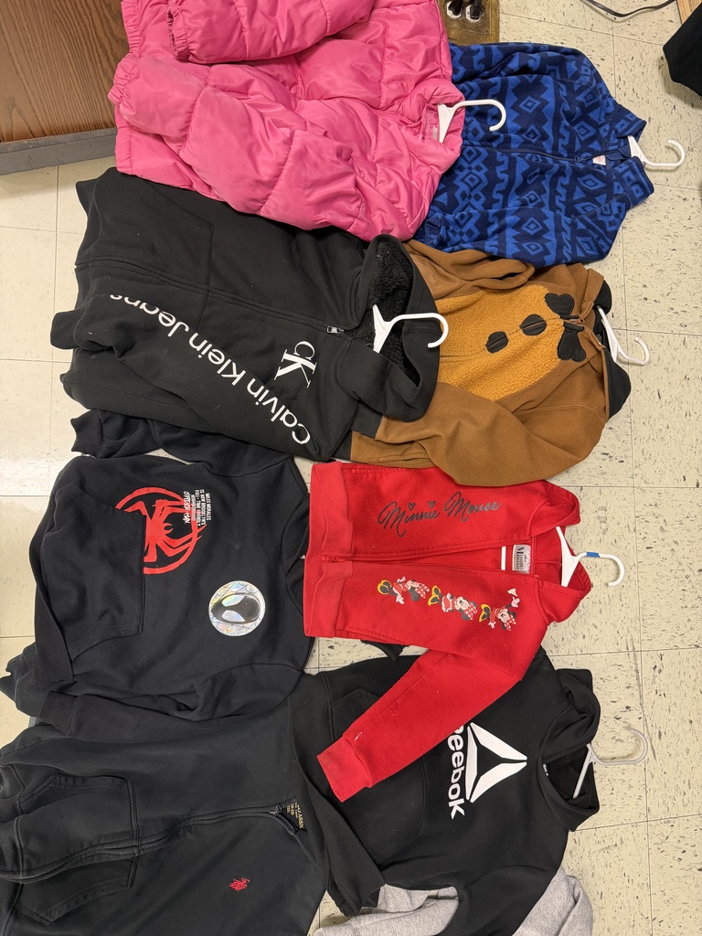 A final group of jackets and hoodies, featuring a bright pink puffer, a black Calvin Klein zip-up, a brown animal-themed fleece, a red Minnie Mouse jacket, and a black Reebok hoodie.