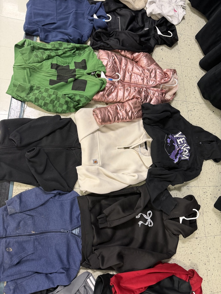 Several hoodies and jackets: a green Minecraft Creeper zip-up, a metallic rose-pink puffer jacket, a cream Carhartt quarter-zip, a black Venom graphic hoodie, a black hoodie with a white bow, and a dark blue zip-up hoodie.