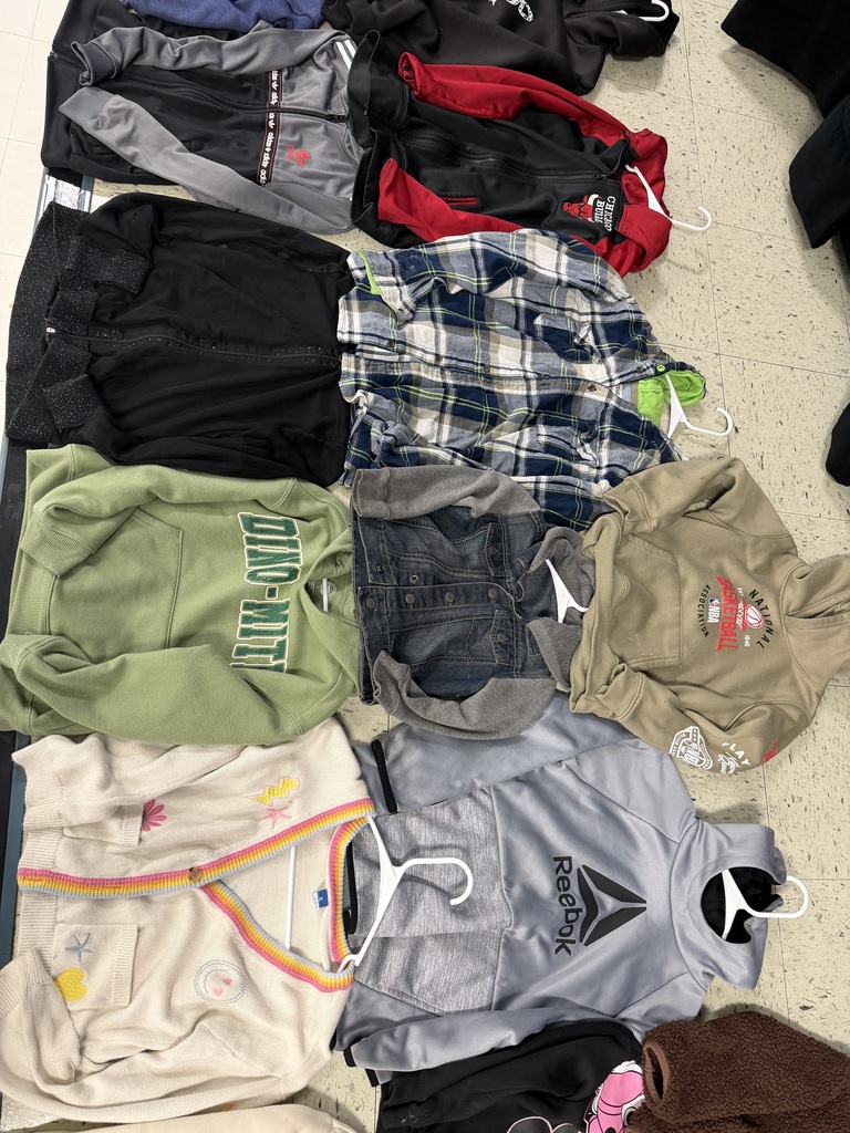 A variety of jackets and sweaters including a grey Adidas zip-up, a red and black Chicago Bulls jacket, a blue plaid flannel, a green "Dino-Mite" hoodie, a tan NBA sweatshirt, and a cream cardigan with rainbow trim and sun/flower icons.