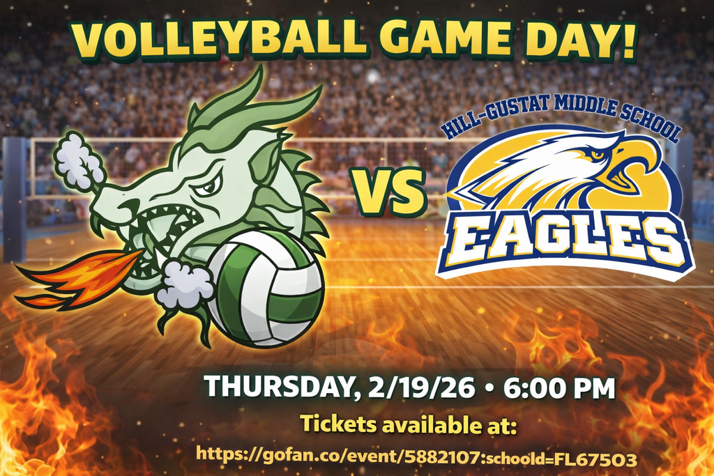 LPM versus HGM Volleyball game image